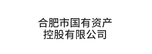 合肥市國有資產控股有限公司